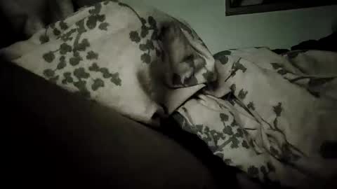 Bomberto online show from February 2026 09:11:02 PM