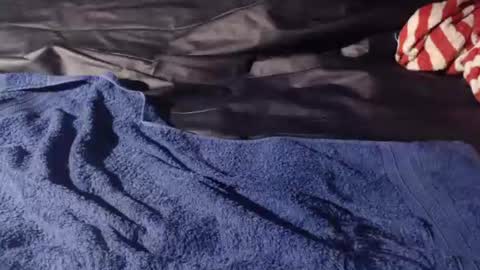 Bomm65 online show from November 2025 03:12:02 PM