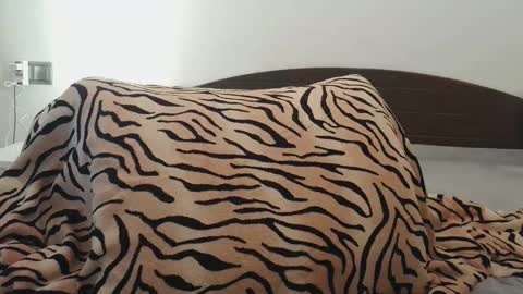 Lucy online show from March 2026 12:13:01 PM