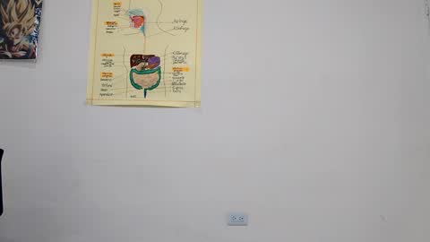 Boner Steve online show from September 2025 03:49:01 AM