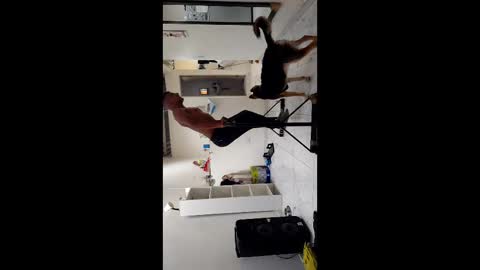 Boner Steve online show from November 2025 07:26:01 PM