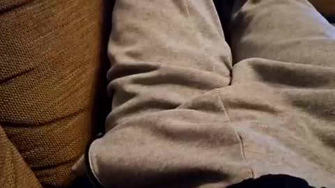 Snapshot of bonny8723 chatting on December 2024 07:42:01 PM bonny8723 online show from December 2024 07:42:01 PM