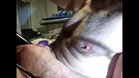 bonop1 online show from March 2026 10:19:01 AM