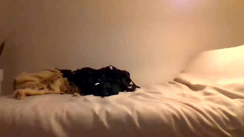 booty4pegging online show from March 2025 05:39:02 PM