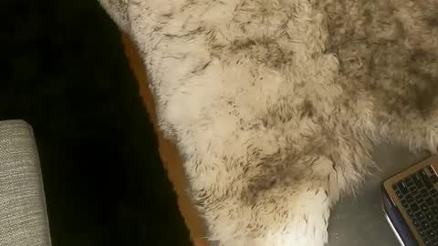 Kim and Kooper online show from March 2025 02:25:02 AM