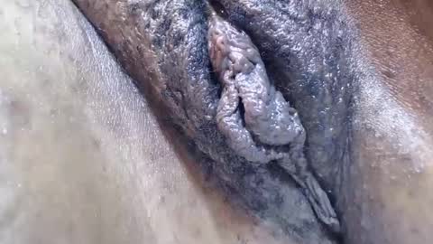 bootybounce4 online show from December 2024 12:34:01 AM