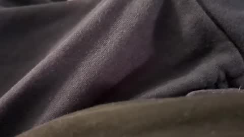 Snapshot of borderslad1101 chatting on November 2025 05:13:01 PM Borderslad1101 online show from November 2025 05:13:01 PM