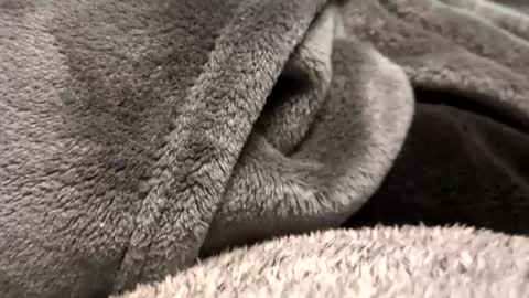 Snapshot of borderslad1101 chatting on November 2025 03:56:02 PM Borderslad1101 online show from November 2025 03:56:02 PM