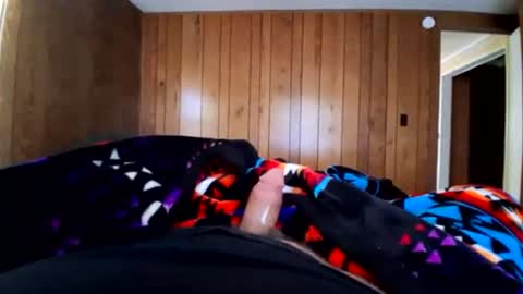 bored_daddy_ online show from June 2026 11:03:02 PM