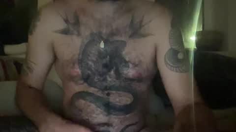 borrelnoot online show from September 2025 12:12:01 AM