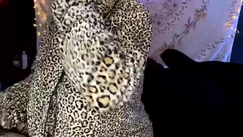 Snapshot of bossmomma chatting on December 2024 04:33:01 AM BossMom online show from December 2024 04:33:01 AM