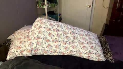 Snapshot of bossmomma chatting on February 2025 05:42:02 PM BossMom online show from February 2025 05:42:02 PM