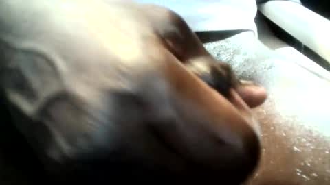 Snapshot of botofogo chatting on January 2026 08:07:01 AM botofogo online show from January 2026 08:07:01 AM