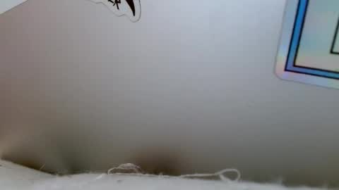 Rue online show from December 2024 04:06:01 PM