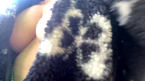 Snapshot of bow2us chatting on December 2024 06:54:02 PM Come for the looks stay for the vibe online show from December 2024 06:54:02 PM