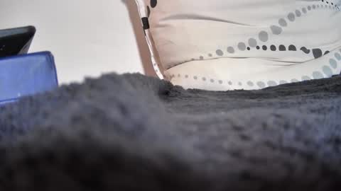 boy3911 online show from February 2025 05:40:01 PM