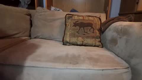 smoothslutfordaddy online show from February 2026 04:05:02 AM