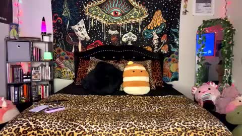 Puddin online show from February 2025 05:54:02 AM