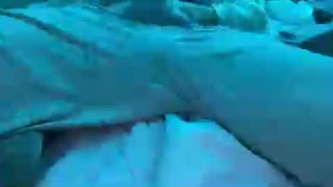 BoyToyBenny online show from June 2026 07:24:02 AM