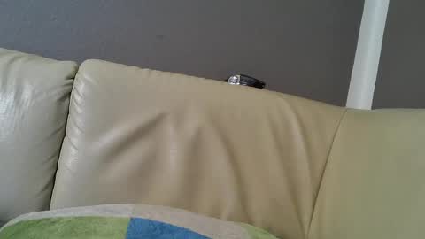 bramer8787 online show from February 2025 05:29:02 AM