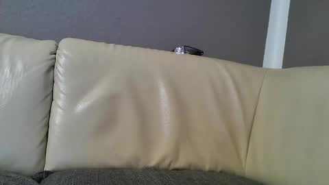 bramer8787 online show from February 2025 02:47:02 AM