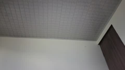 Snapshot of brandy_h69 chatting on July 2026 03:47:01 PM brandy online show from July 2026 03:47:01 PM