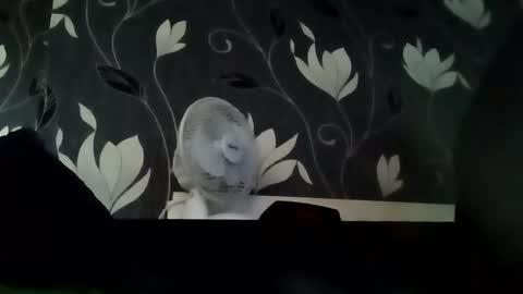 PB9944 online show from September 2025 07:18:02 AM