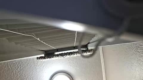 Snapshot of breeze316 chatting on November 2025 11:11:01 AM breeze316 online show from November 2025 11:11:01 AM