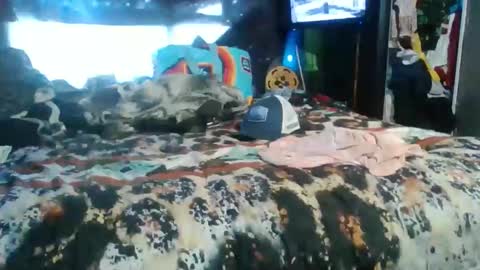 Snapshot of breezy0125 chatting on November 2025 05:02:01 PM breezworld online show from November 2025 05:02:01 PM