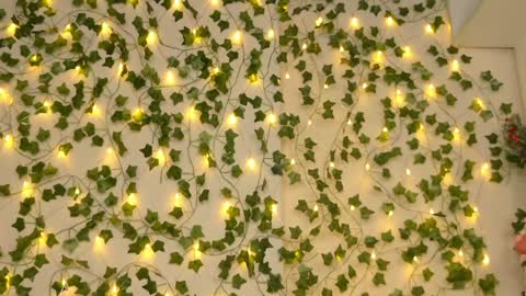 Brenda online show from January 2025 09:25:02 PM