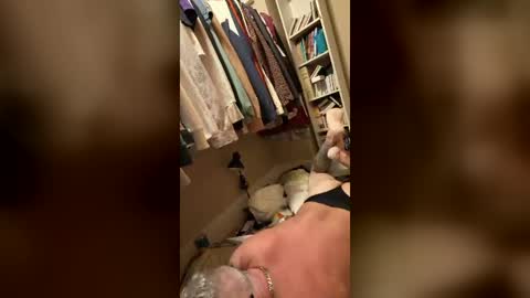 Lovebaldv247 online show from August 2026 09:25:02 AM