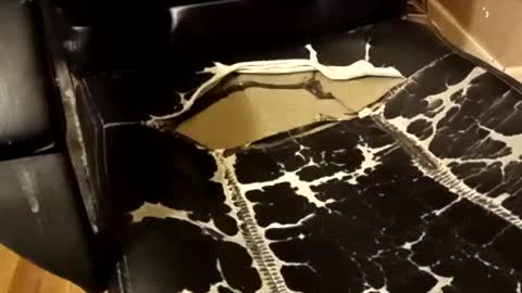 BB online show from December 2025 01:33:01 AM