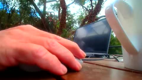 Snapshot of bridie3079 chatting on February 2026 01:01:02 AM Fun Monster online show from February 2026 01:01:02 AM