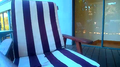 Snapshot of bridie3079 chatting on February 2026 06:19:02 AM Fun Monster online show from February 2026 06:19:02 AM