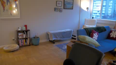 bright bi online show from December 2024 11:29:01 PM