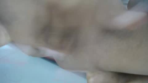 Snapshot of britny_hot111 chatting on December 2024 02:21:01 PM Britny hot111 online show from December 2024 02:21:01 PM