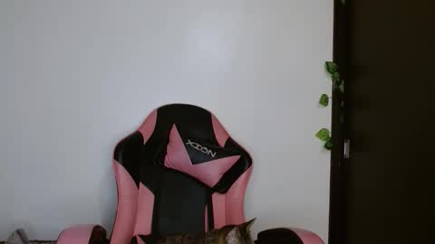 maru miaw   Please help me to reach 100 thumbs up online show from February 2026 04:20:02 AM