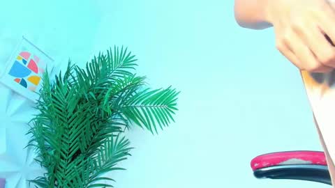 BRIYIT     online show from January 2025 11:15:02 AM