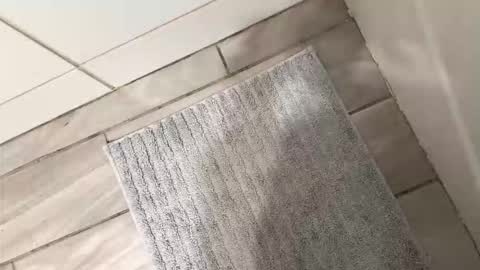 Snapshot of brownboyli chatting on March 2026 03:09:01 AM brownboyli online show from March 2026 03:09:01 AM