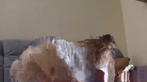 brutecia online show from September 2025 06:42:01 PM