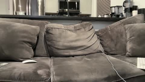 brwm2013 online show from January 2025 03:07:01 AM