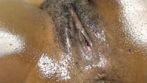 Snapshot of brynzoe chatting on July 2026 08:00:02 PM Brownie online show from July 2026 08:00:02 PM