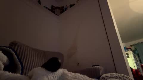 bubblya online show from February 2026 06:19:02 AM