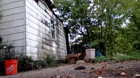 buddylovex online show from October 2025 10:18:01 PM