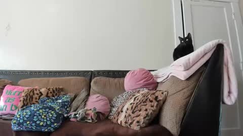 Buffy online show from December 2024 06:32:02 PM