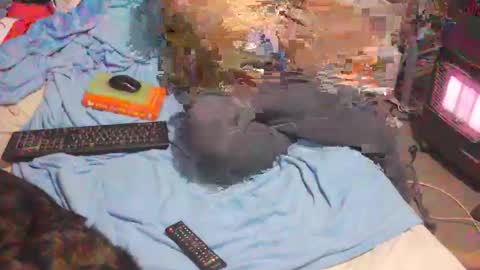 Snapshot of bufu21 chatting on February 2025 09:56:01 PM bufu21 online show from February 2025 09:56:01 PM