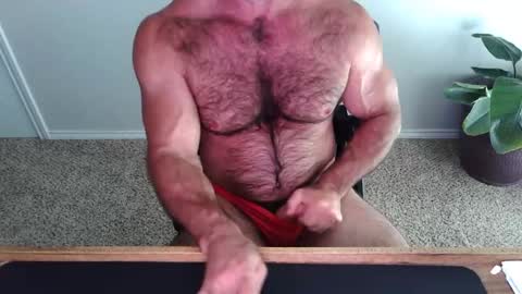 Snapshot of bullbud chatting on June 2026 03:12:01 PM Wrestling Dads.. hit me up. online show from June 2026 03:12:01 PM