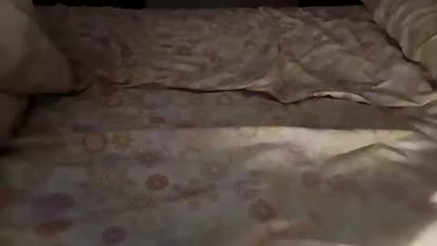 bullspain27266272 online show from March 2025 04:47:01 AM