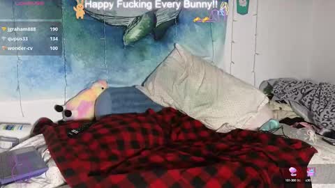 Tokki  bunny  online show from January 2025 03:29:01 AM