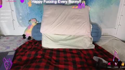 Tokki  bunny  online show from January 2025 02:00:02 AM